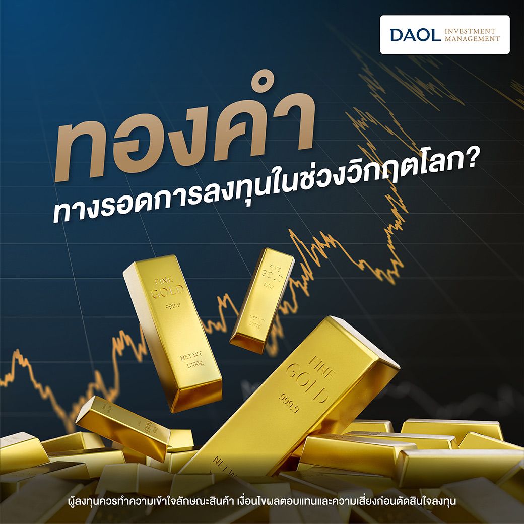 Daol Gold for Web