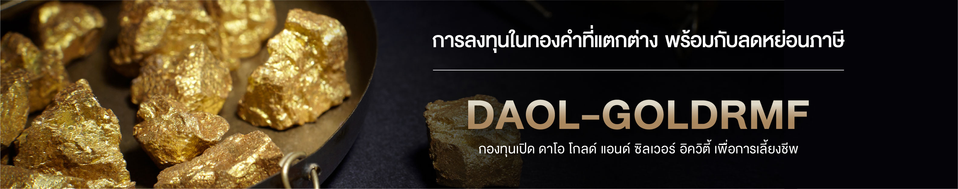 DAOL INVESTMENT MANAGEMENT